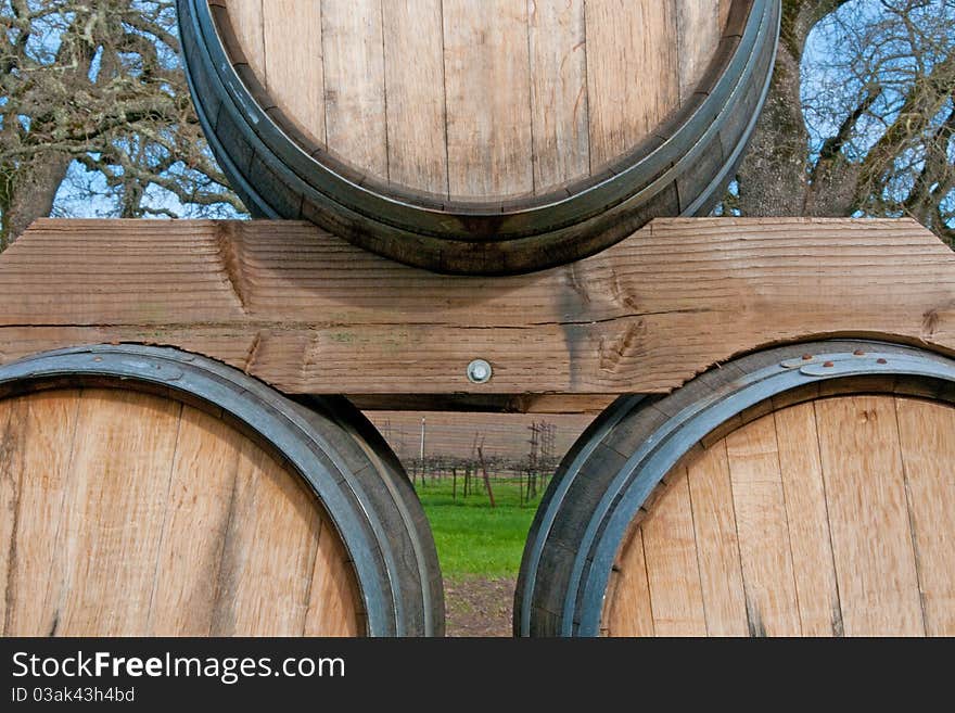 Wine Barrels with Vineyard in Background