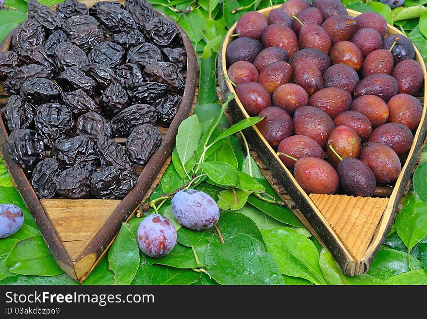 Assortment of plums and prunes cooked. Assortment of plums and prunes cooked