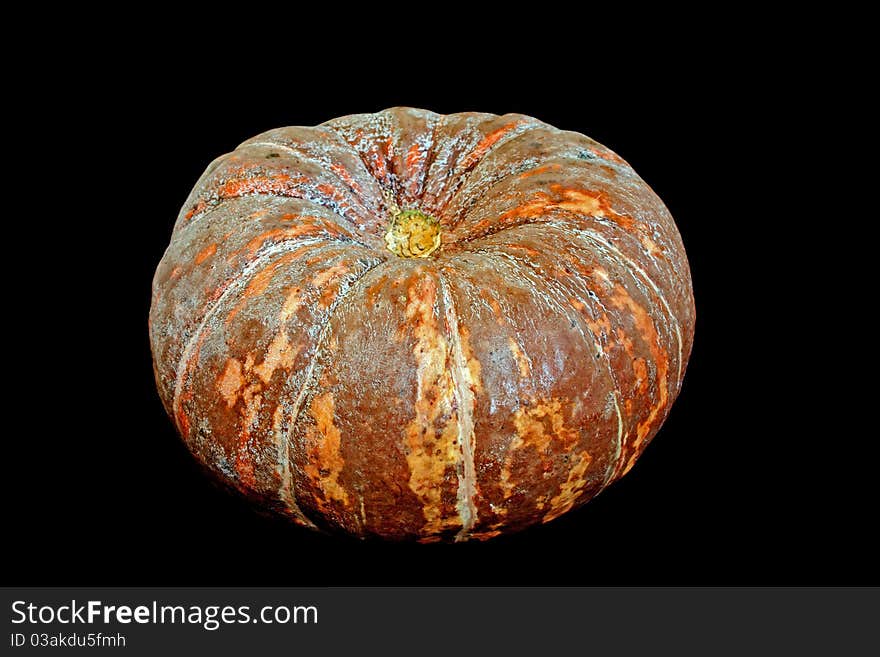 Ripe fresh raw pumpkin isolated on black background