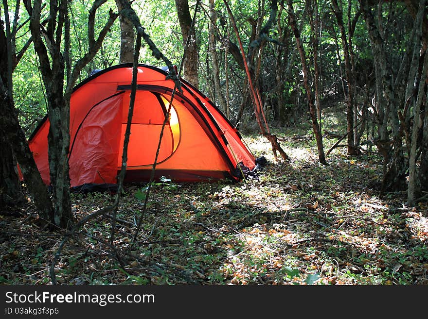 A tent is in jungles,the wild forest is in mountains