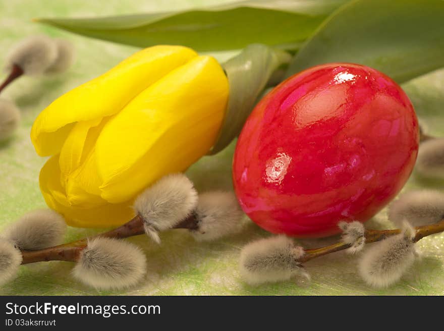 Tulip flower and easter egg with catkin. Tulip flower and easter egg with catkin