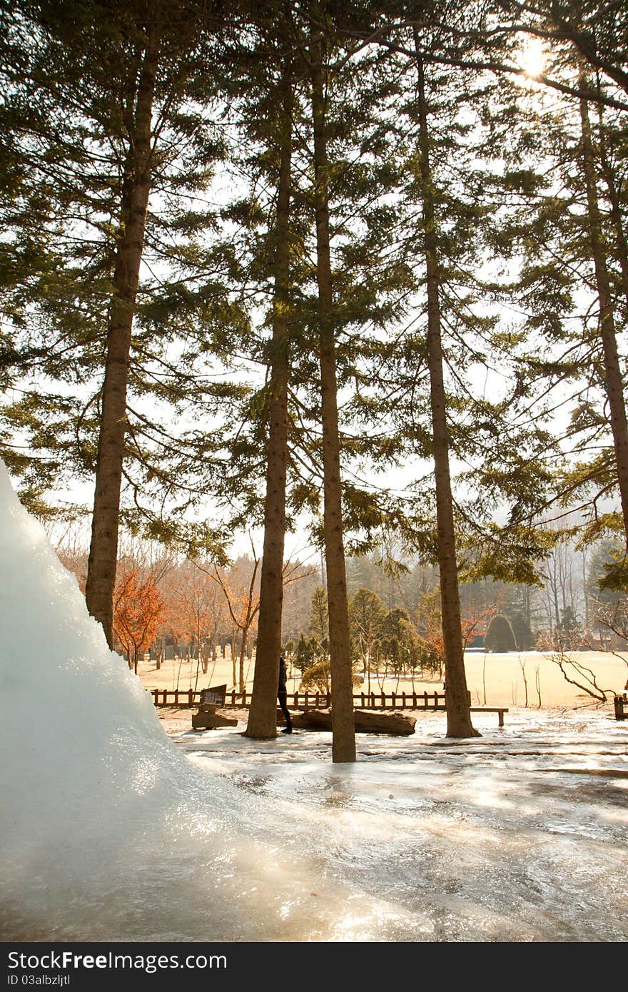 Nami Island with snow in Winter. Nami Island with snow in Winter