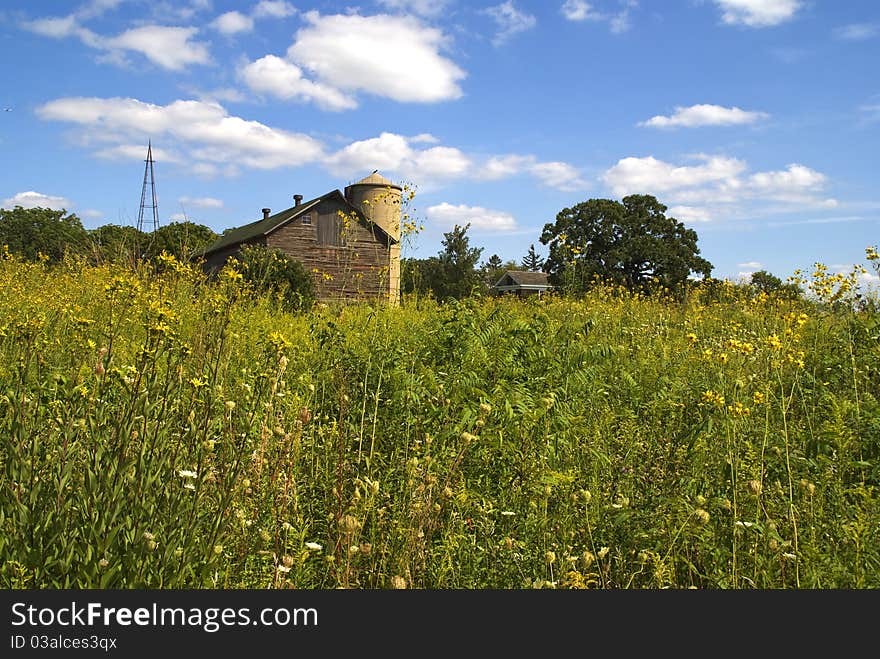 Farm and meadow