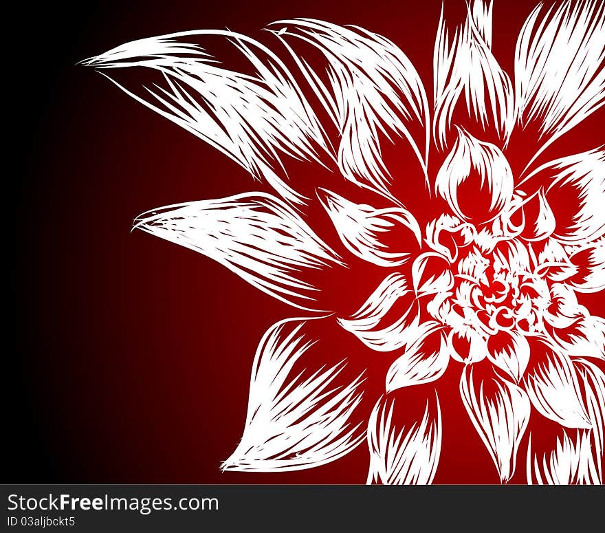 Beautifull flowers on black-red background (illustration)