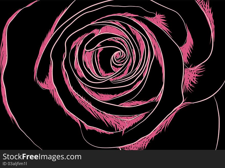 Beautifull  flowers on black background (illustration)