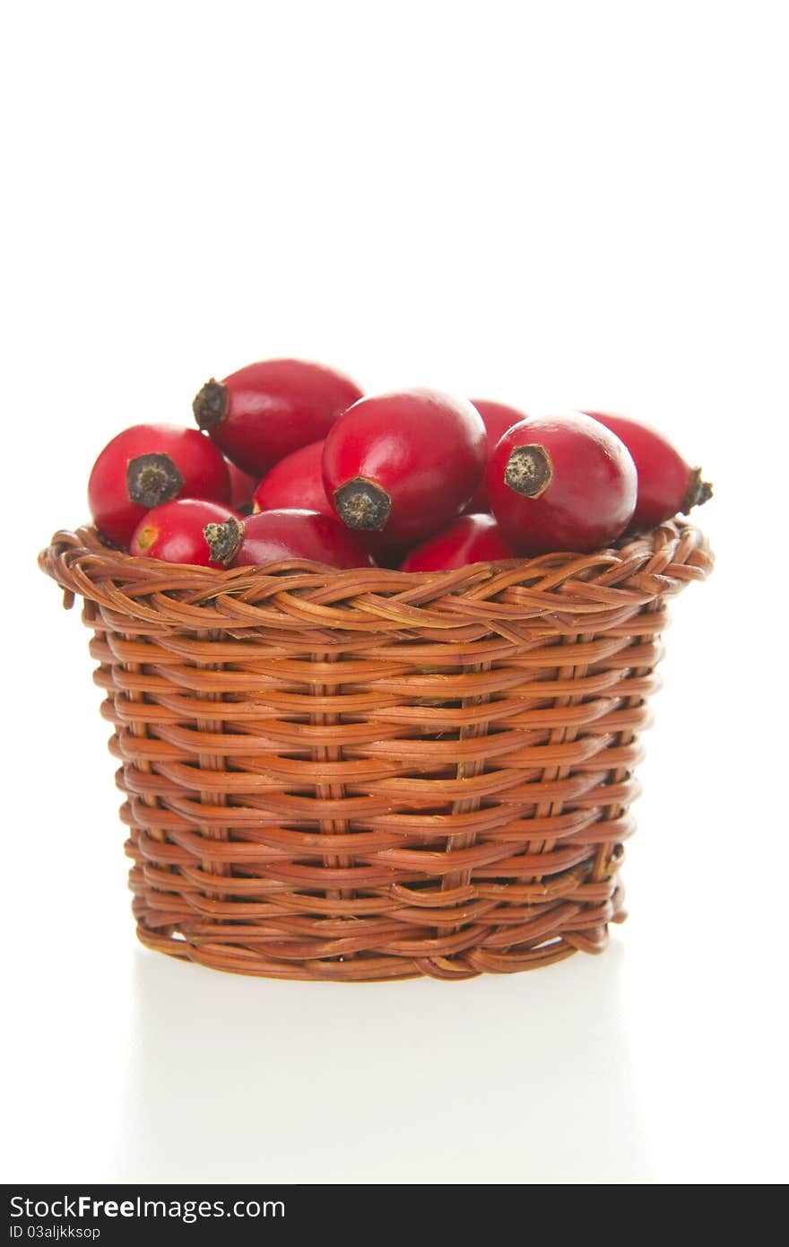 Handbasket dogrose, on white background.