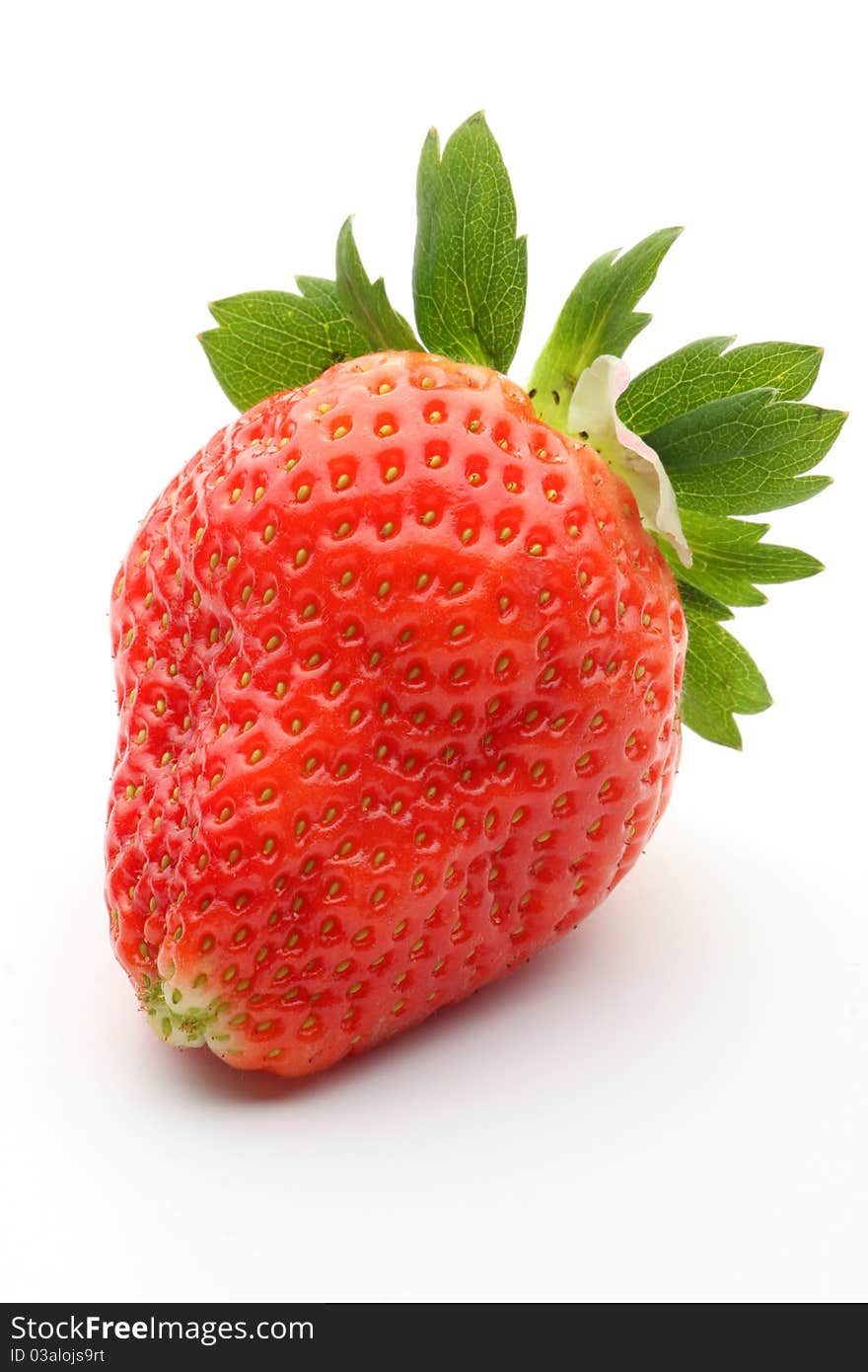 Fresh strawberry on a white background