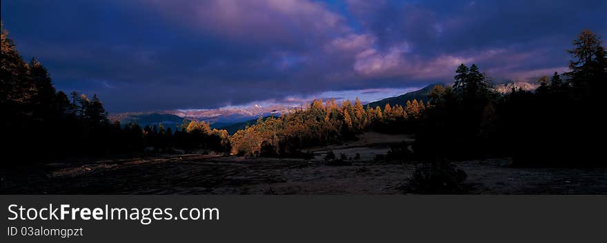 Quiet forest, view in Tibet