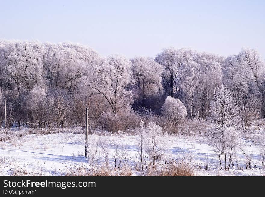 Winter landscape