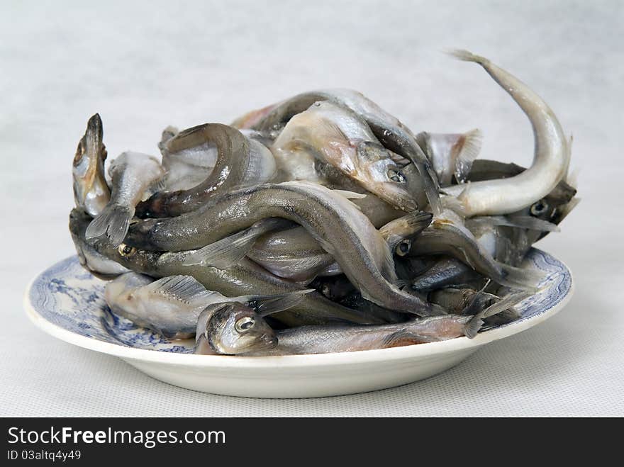 Fish in a bowl