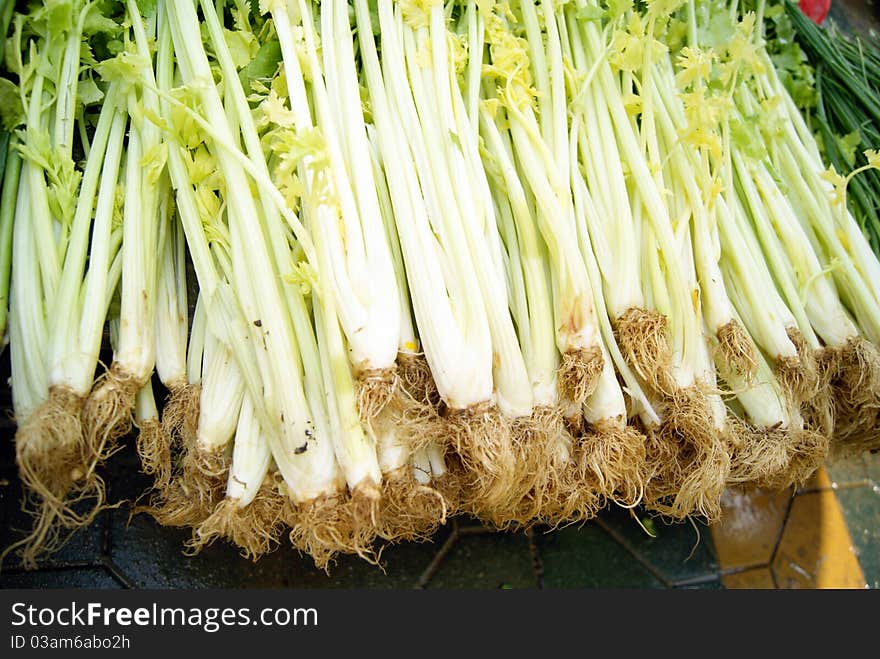 Celery