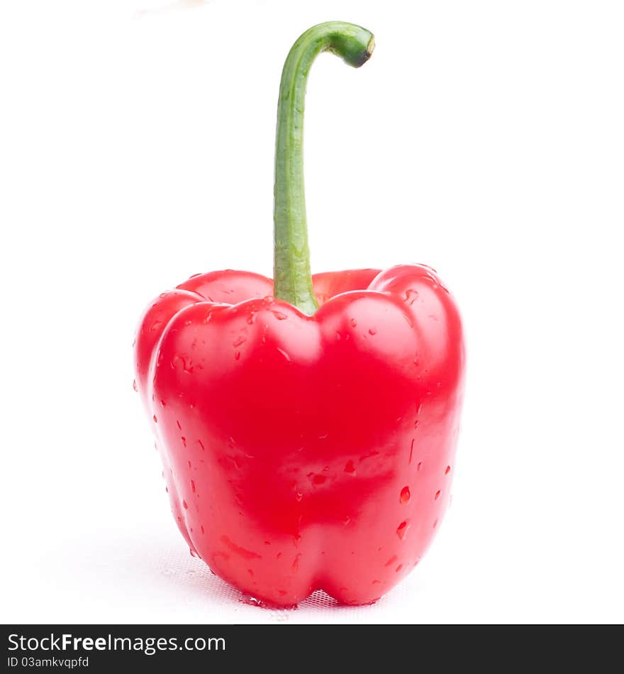 Red pepper on white background