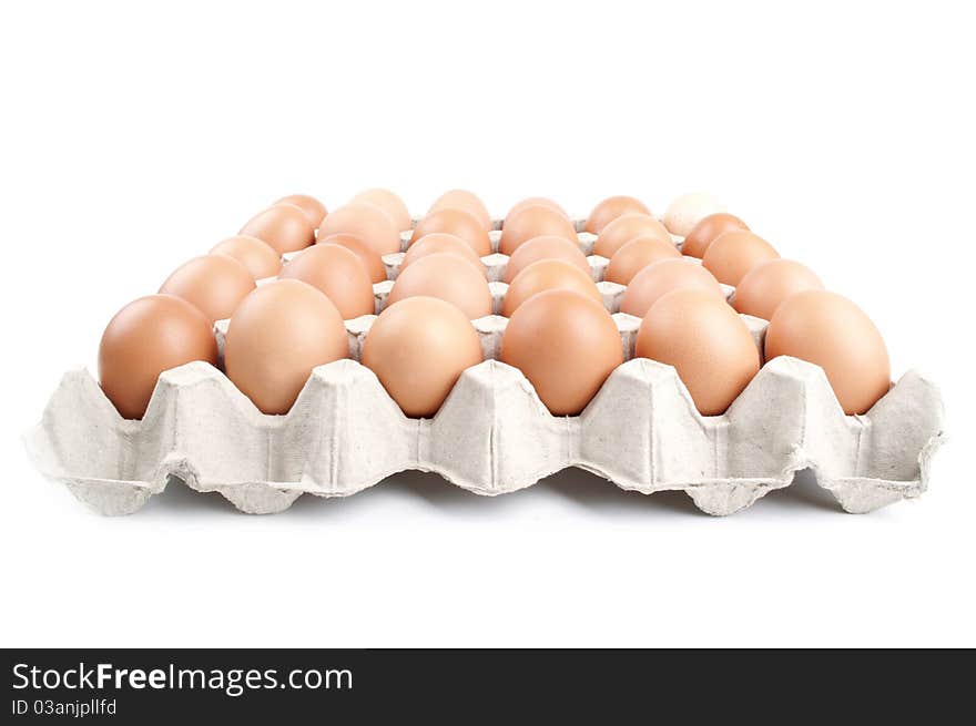 Many eggs in a carton