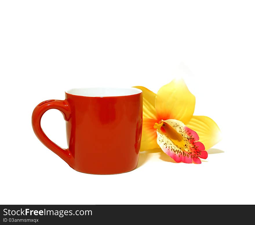 Red cup and yellow flower isolated on white