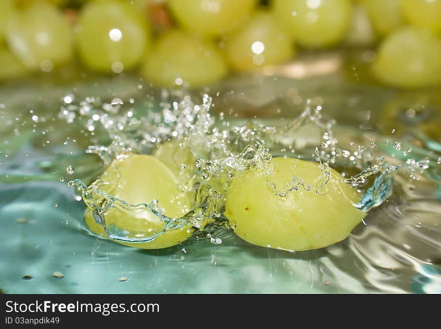 Fresh grapes splashing into water. Fresh grapes splashing into water.