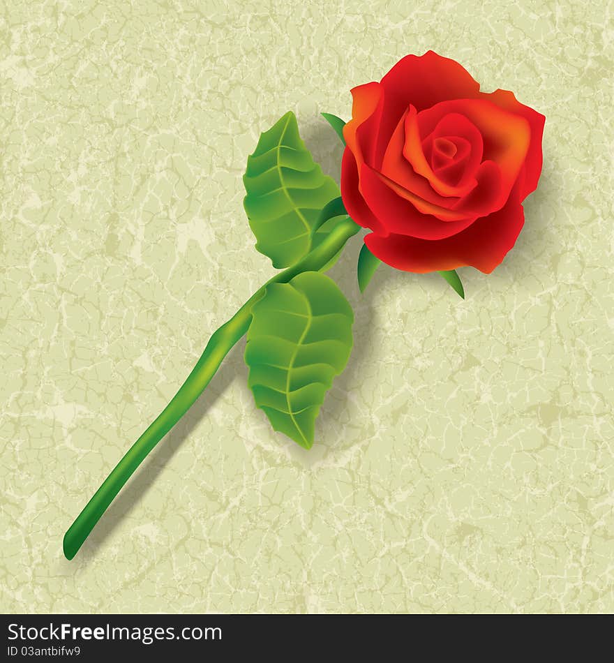 Abstract floral illustration with red rose on cracked beige background