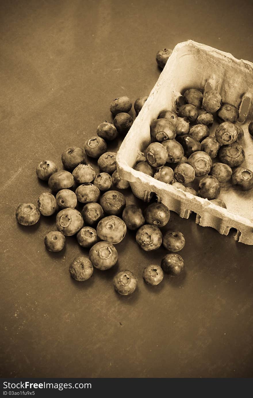 Blueberries in Sepia Processing For Vintage Look