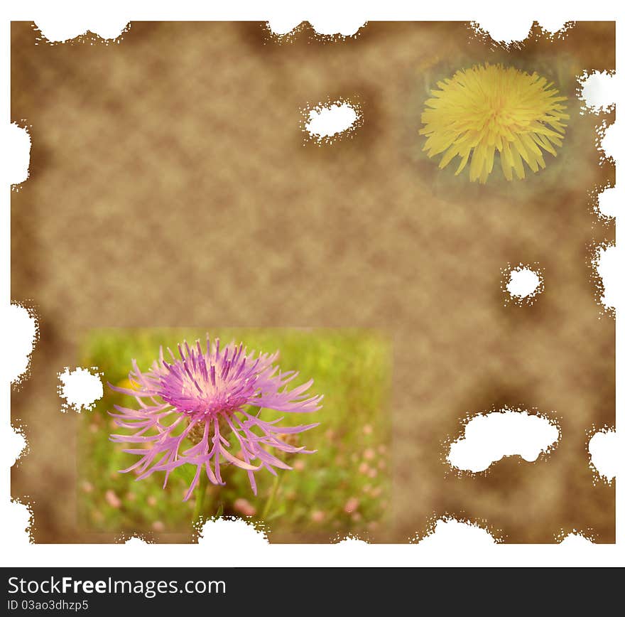 Old paper background with dandelion and other flower illustration