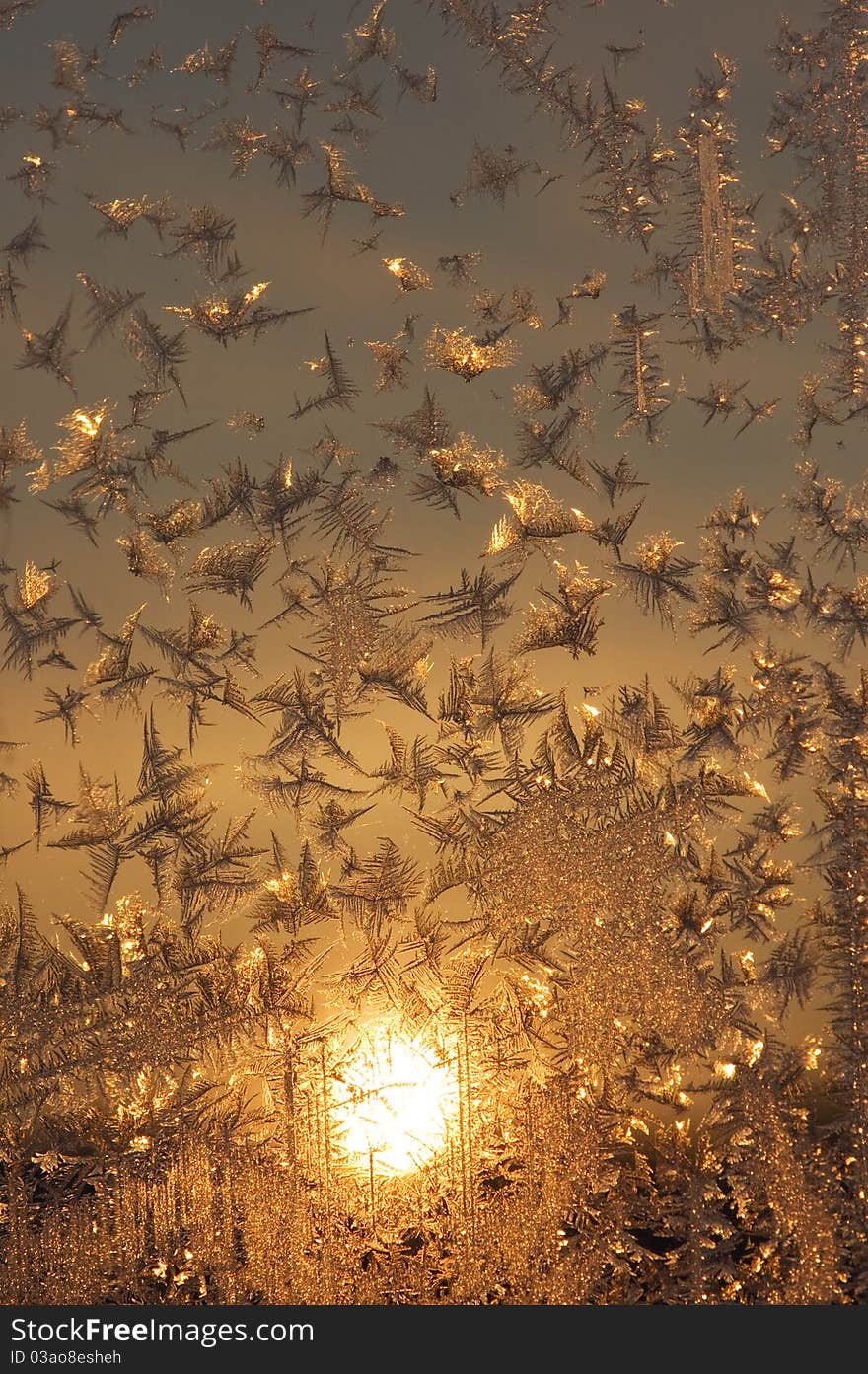 Hoarfrost On Window