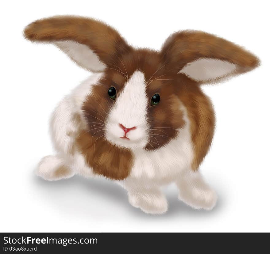 Realistic drawn rabbit on white background