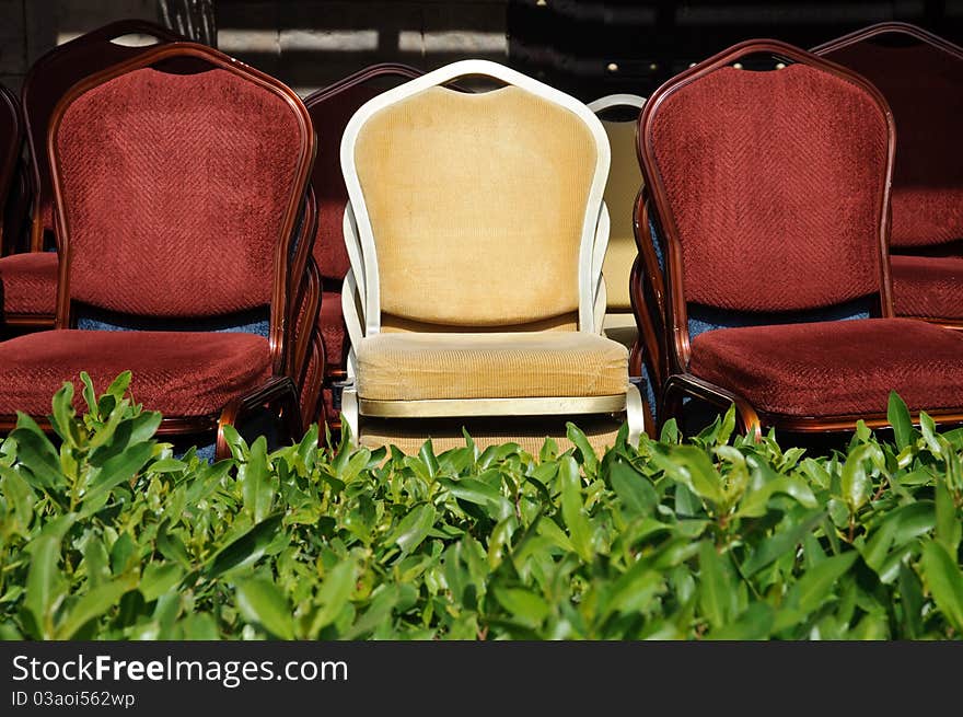 Three Chairs In The Grass