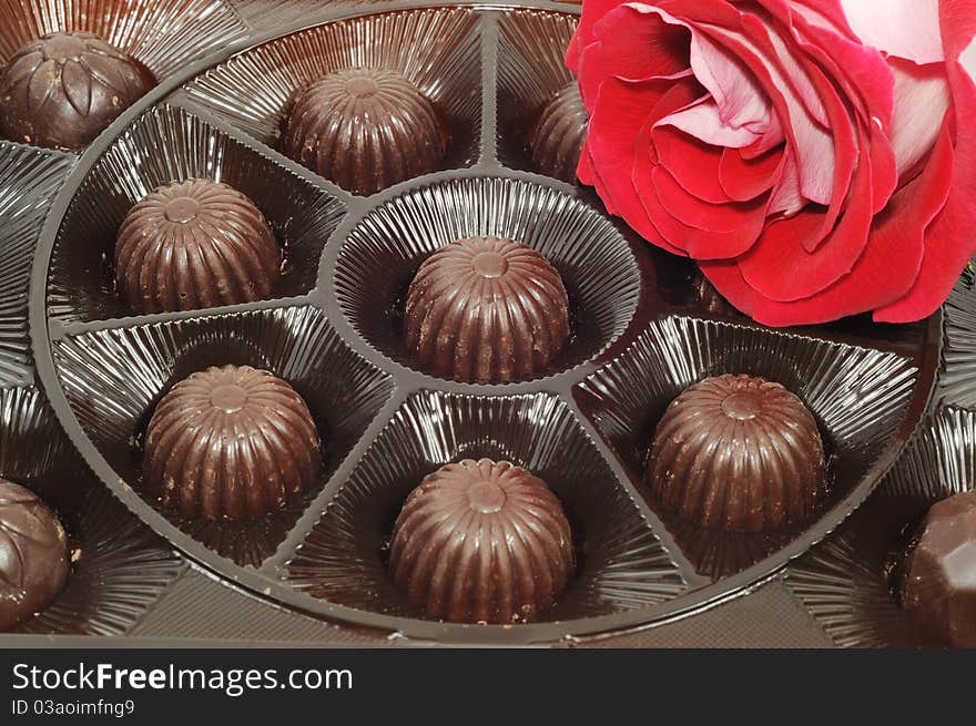 Beautiful red rose and chocolate , close up