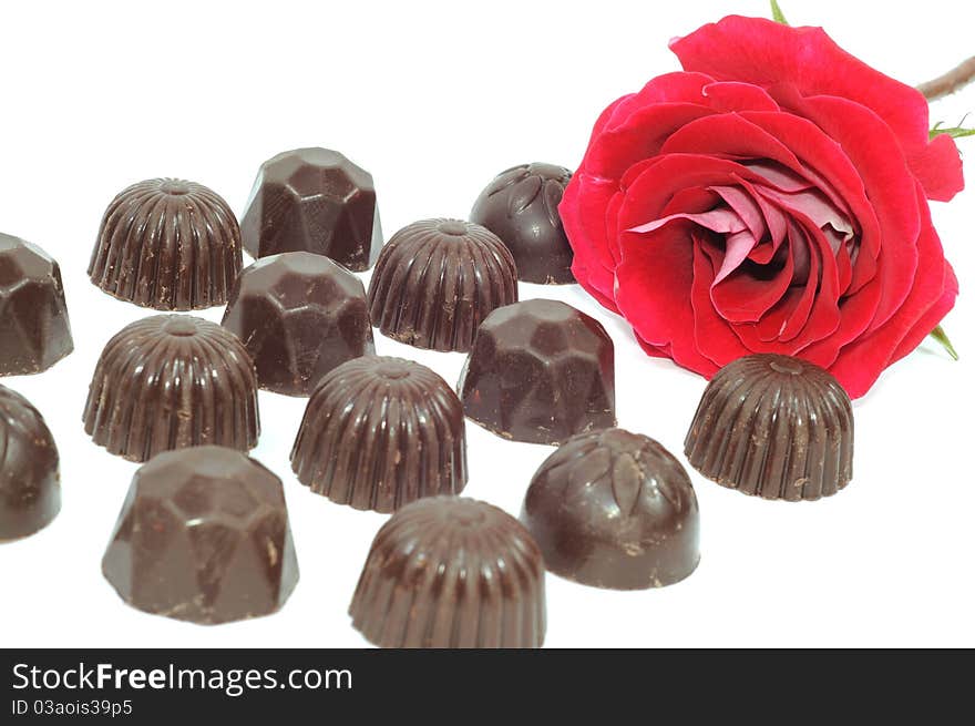 Beautiful red rose and chocolate on white background