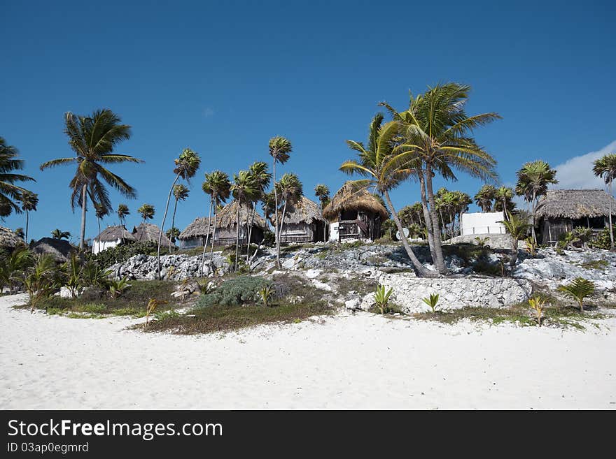 Beach Bungalows On A Tropical Island