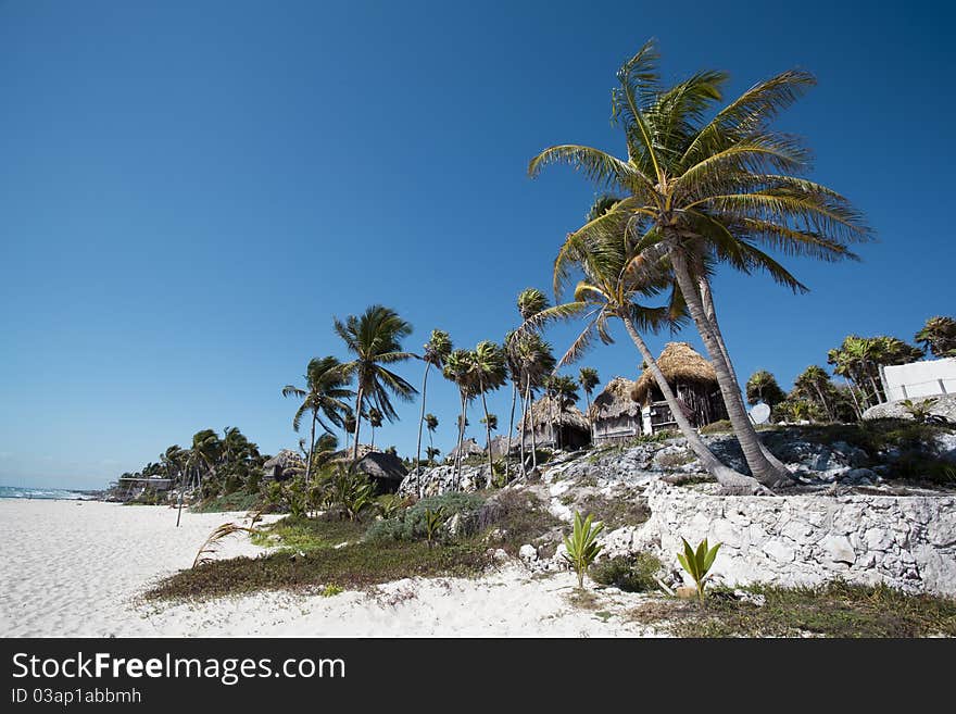 Beach bungalows on a tropical island