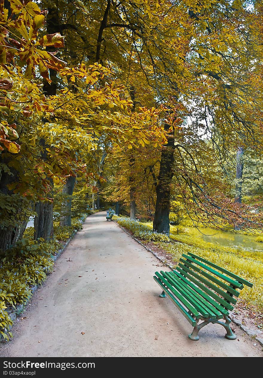 Empty green bench in the autumnal park.