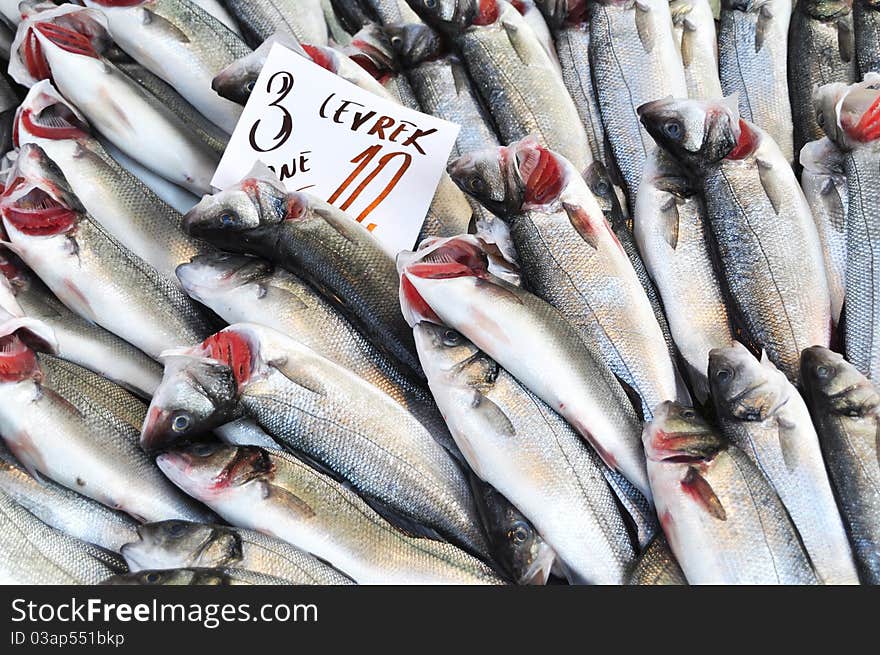 Photo of fresh fish at the Fish Market