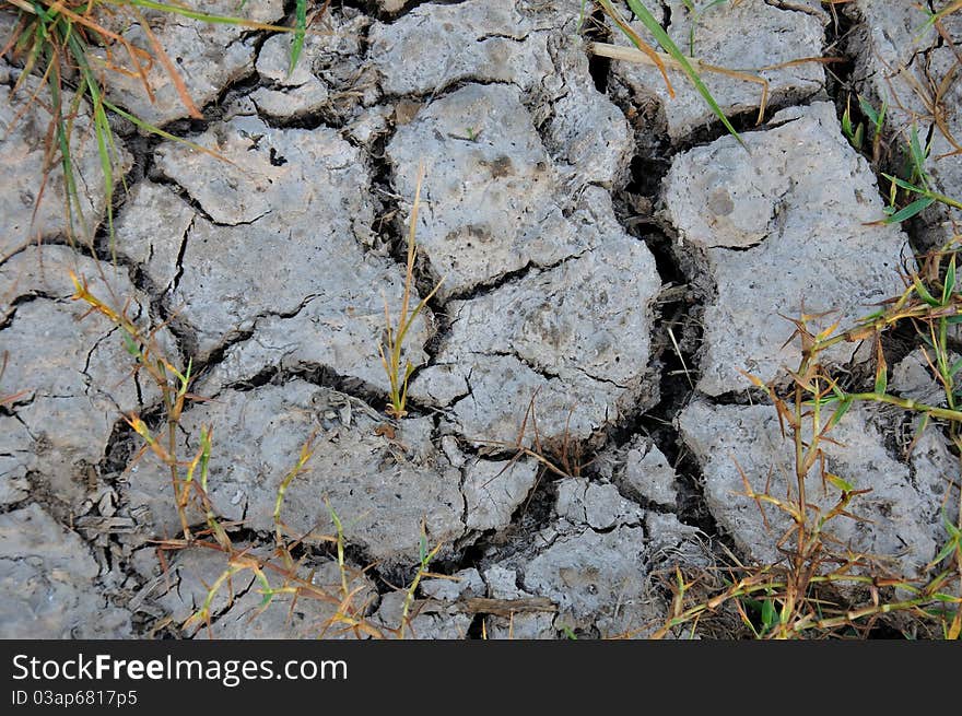 Textures and patterns of a cracked dry soil