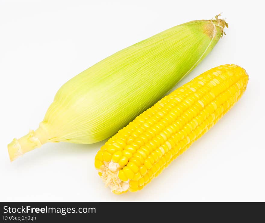 Fresh corn on white background