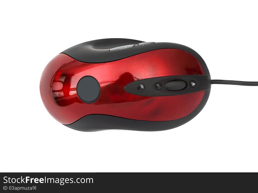 Computer Mouse