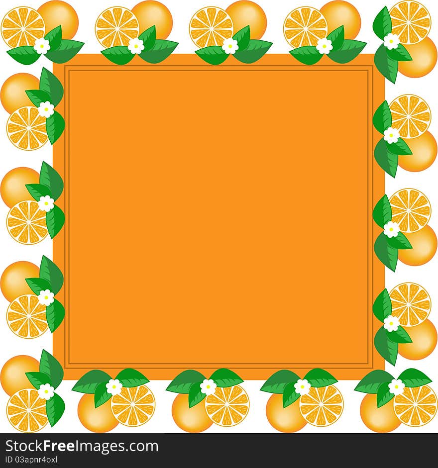 Orange square frame made of fruit and orange flower. Orange square frame made of fruit and orange flower