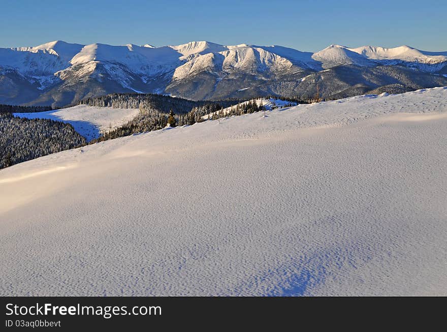 Winter on a hillside