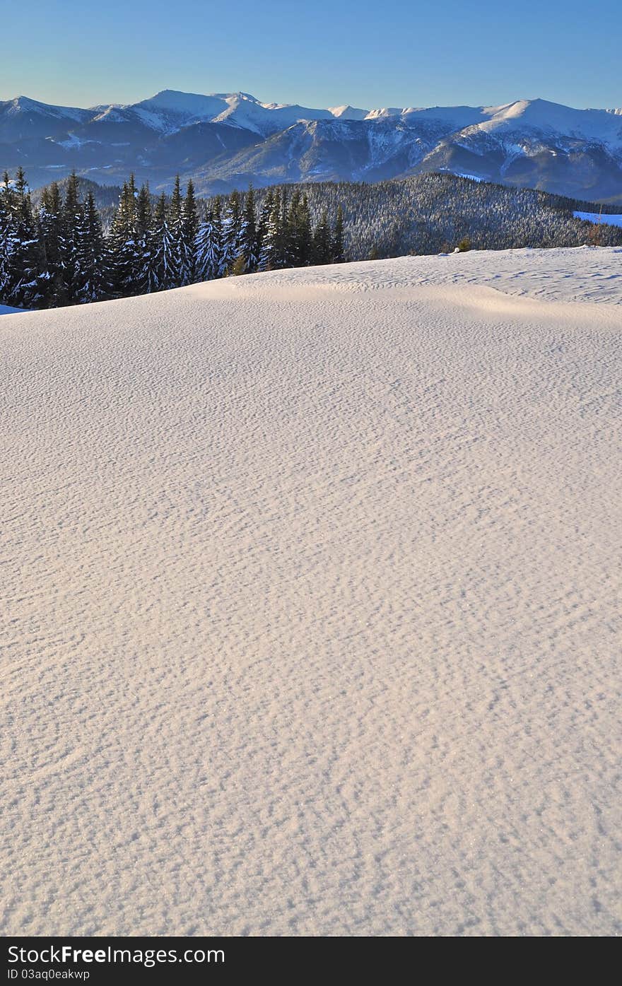 Winter on a hillside