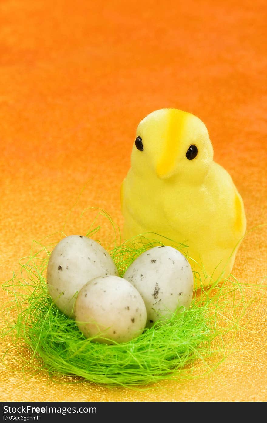 Easter chicken with spotted quail eggs on orange background. Easter chicken with spotted quail eggs on orange background