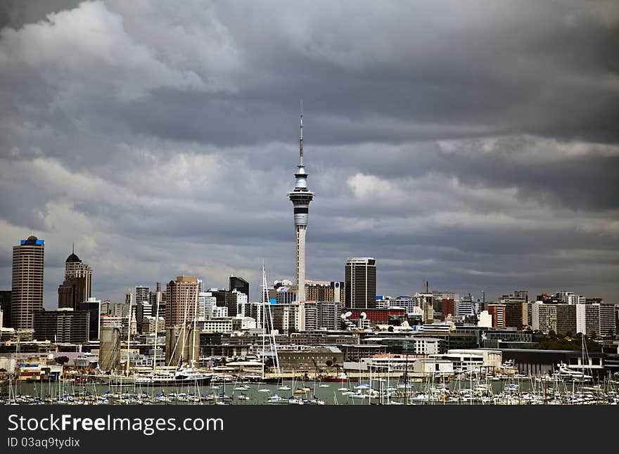 New Zealand Auckland City Harbour Skyline