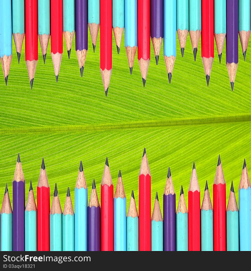 Colorful pencils frame on leaf background