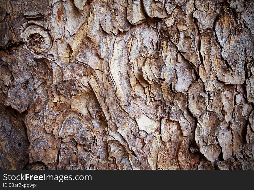 Old Bark Pattern