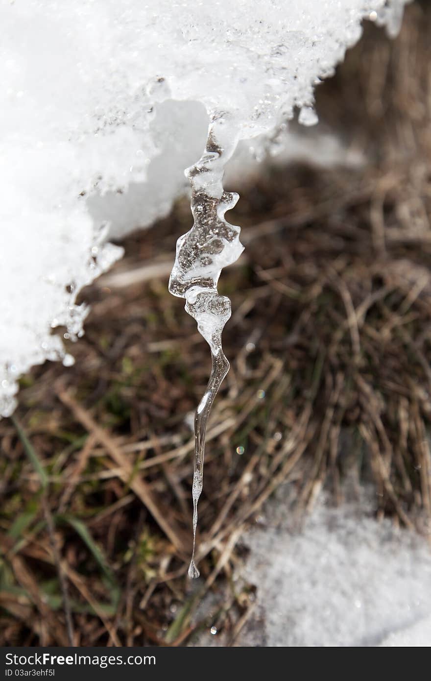 Ice candle