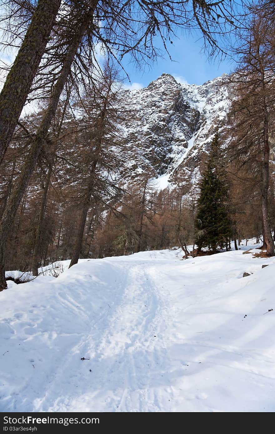 Icy valley