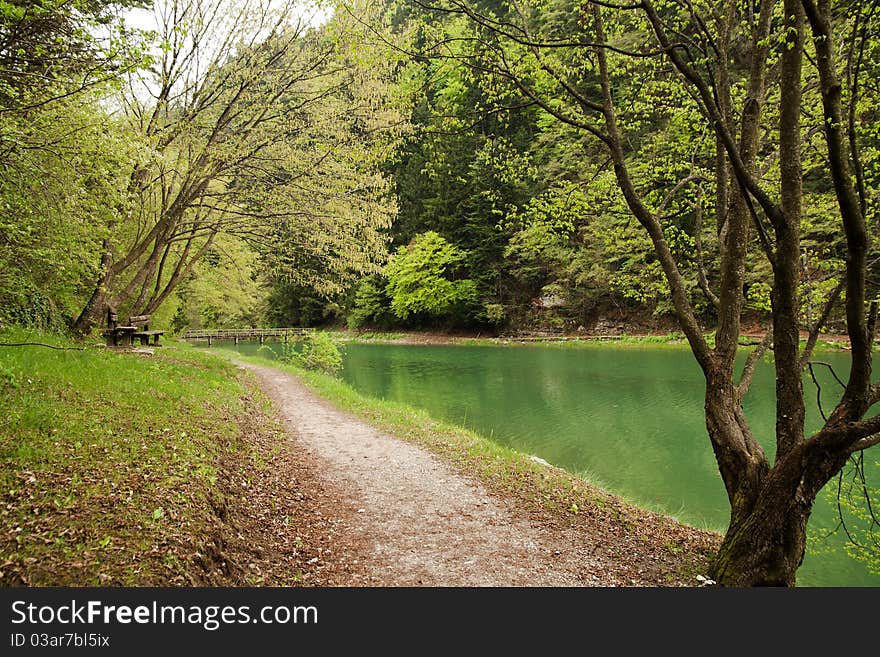 Green lake and forest scenery