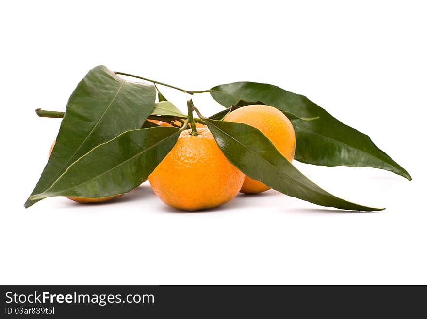 Juicy tangerine isolated on a white background.