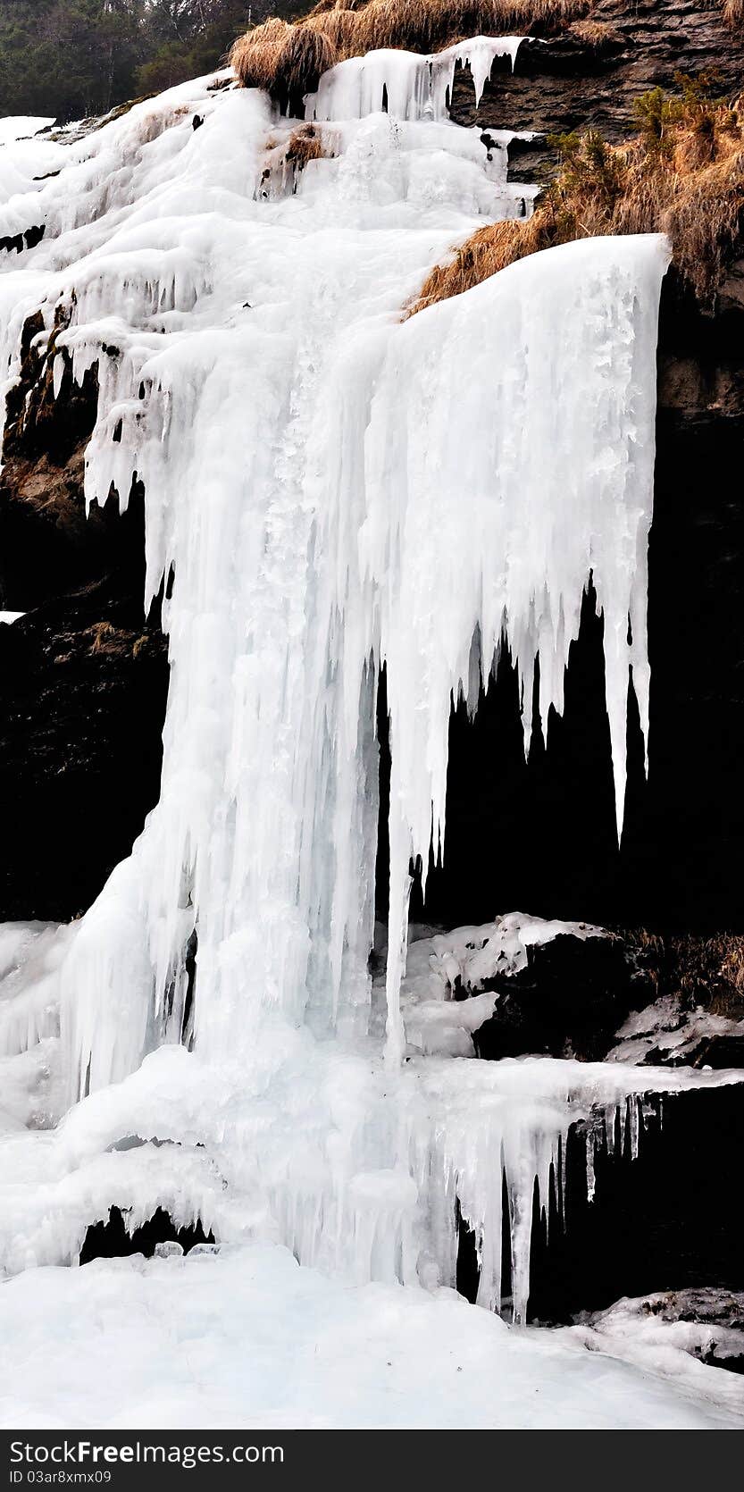 Torrent frozen