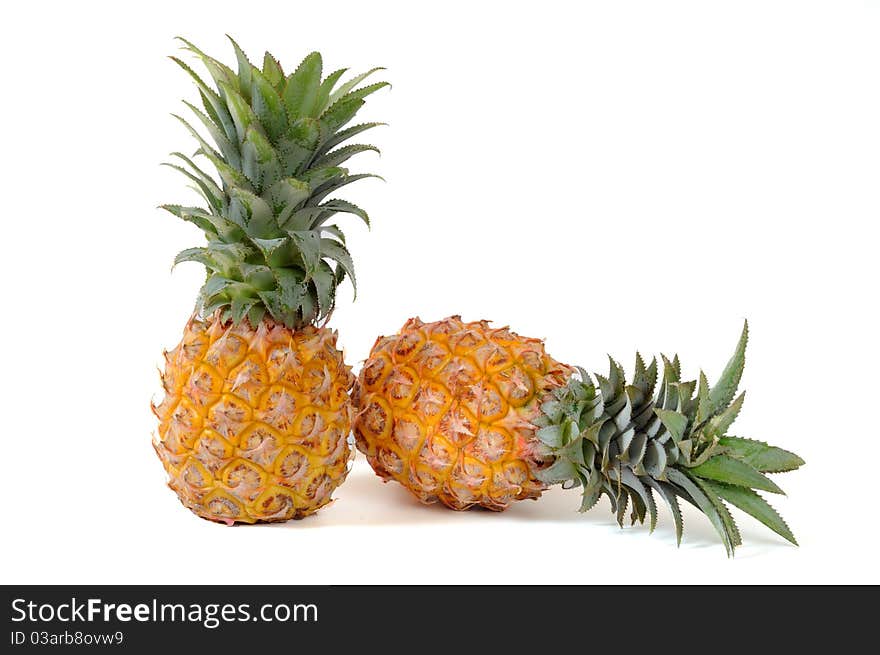 Yellow pineapplse on white background. Yellow pineapplse on white background.