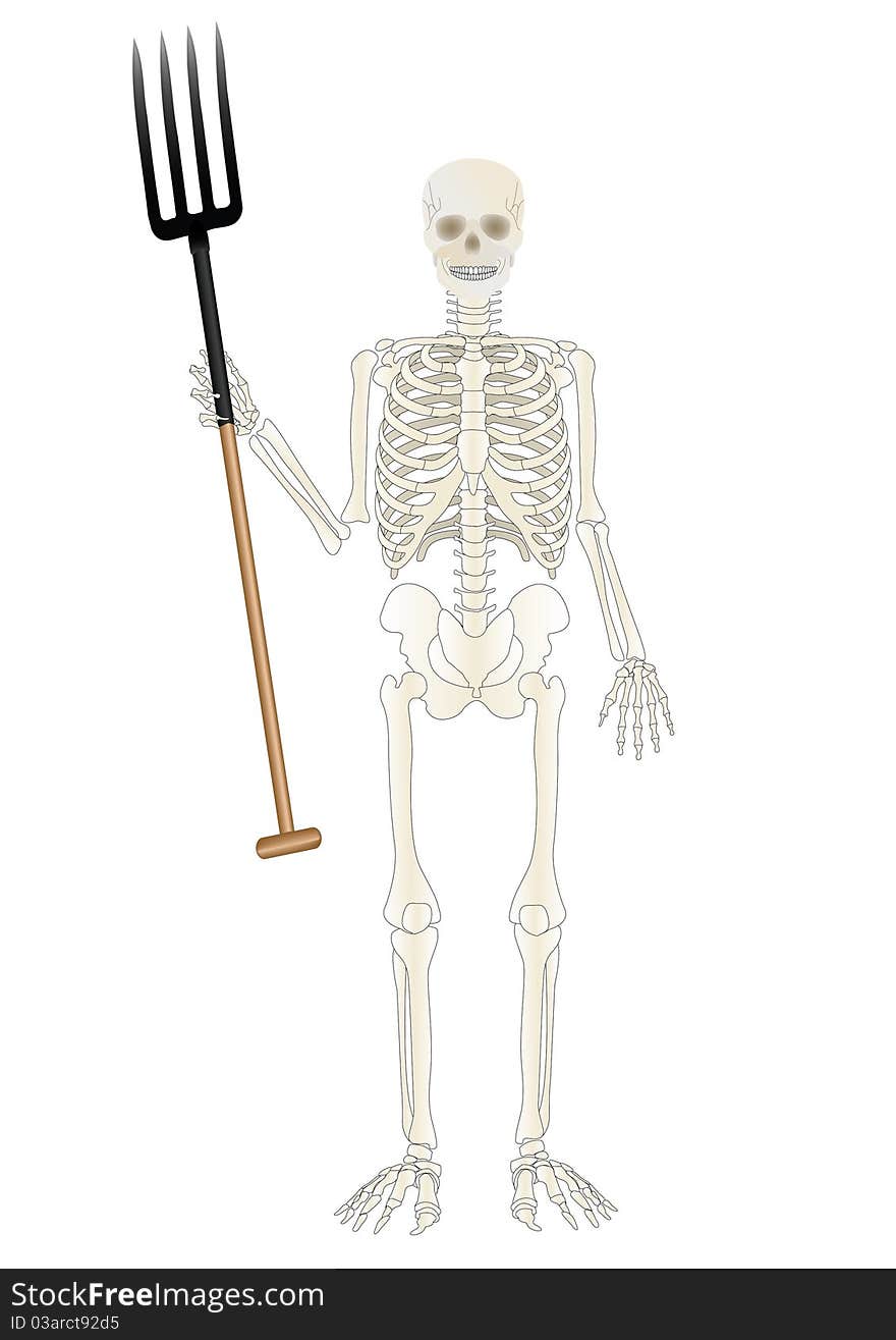 A skeleton of the person with a pitchfork. A skeleton of the person with a pitchfork
