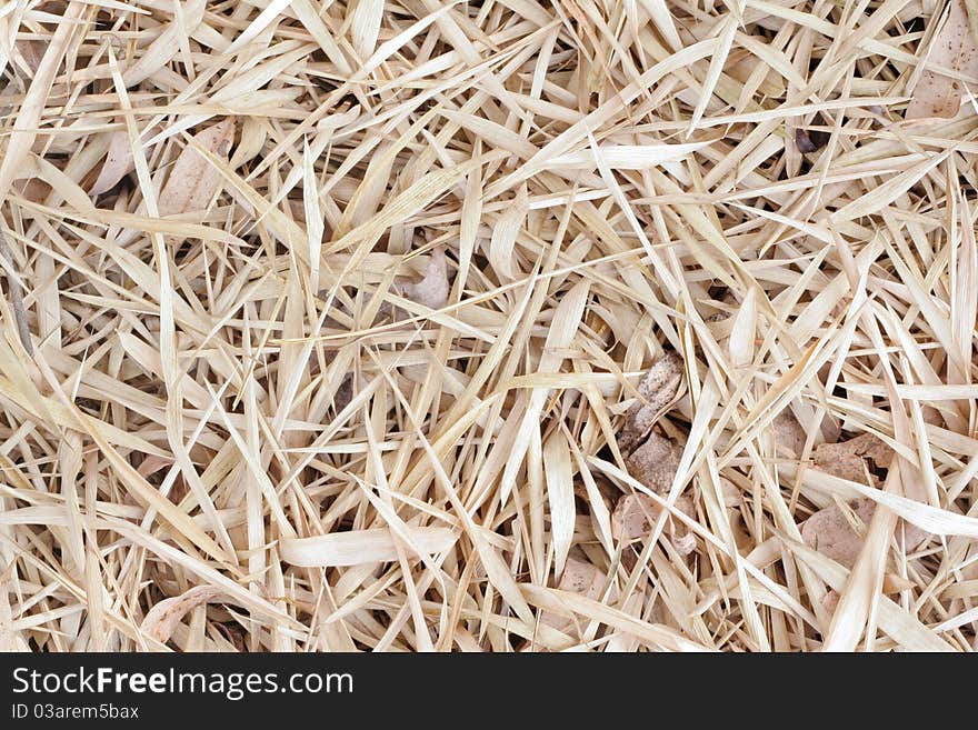 Dried bamboo leaves