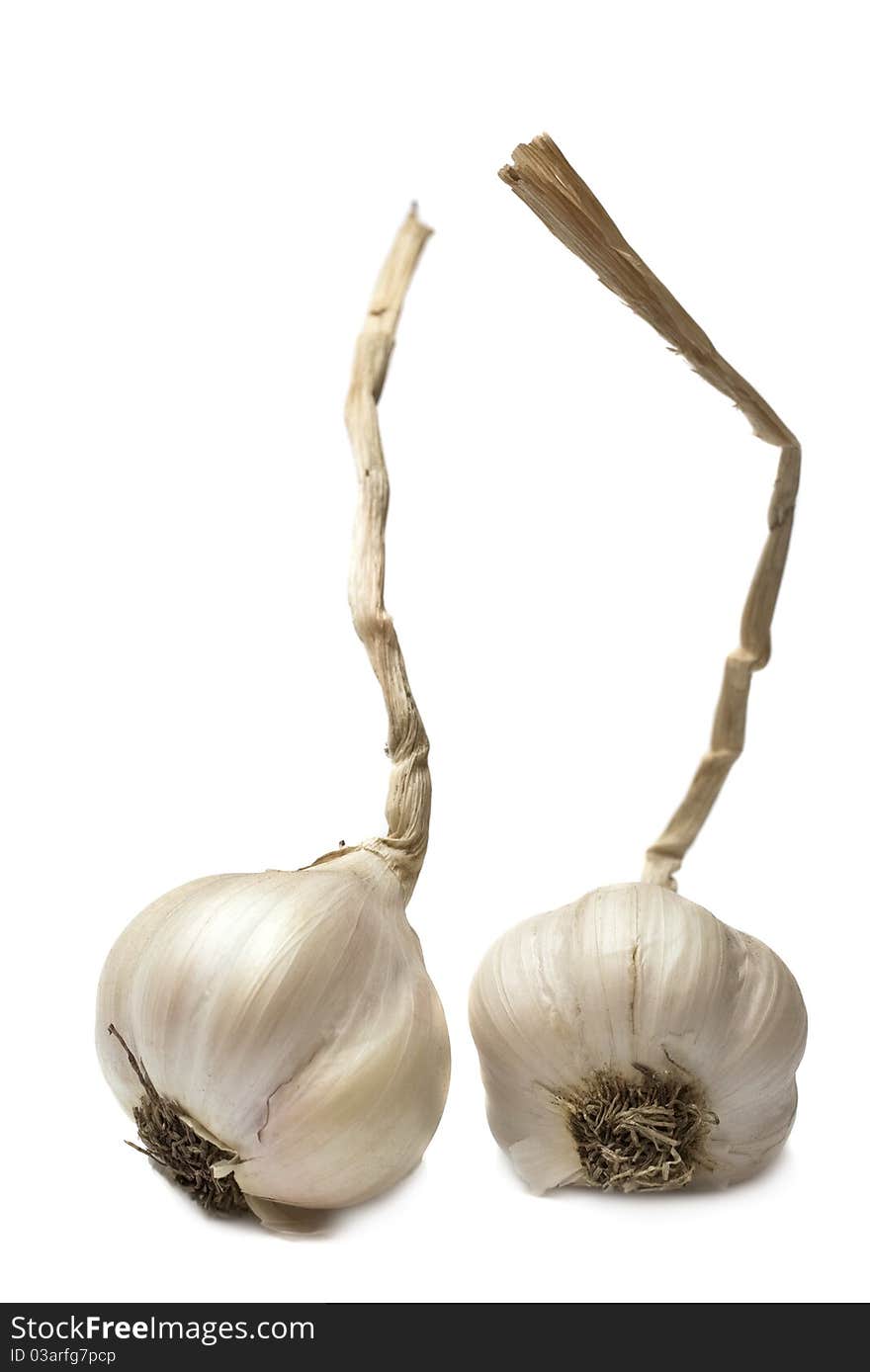 Two garlics isolated on the white background